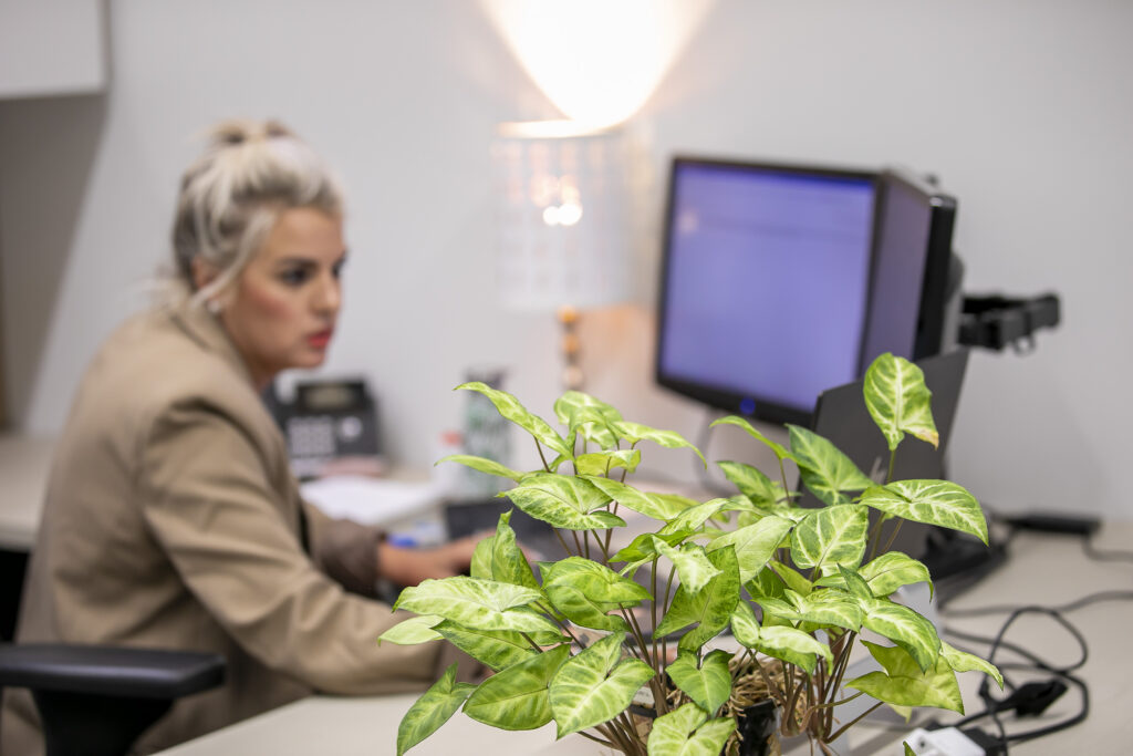Sonja the search queen working on an omni-channel strategy